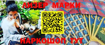 гидропоника Гатчина