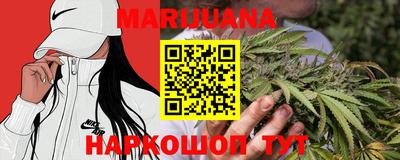 гидропоника Гатчина