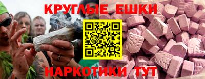 гидропоника Гатчина